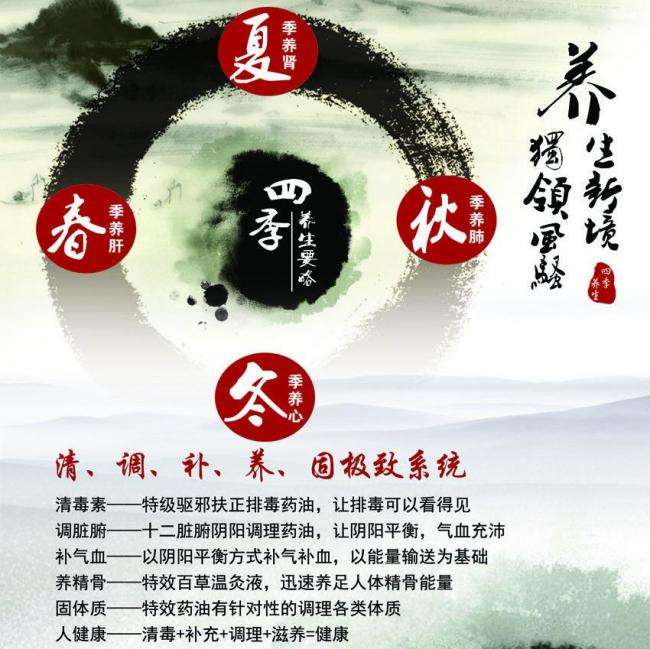 香农理工大学Diploma in Economics